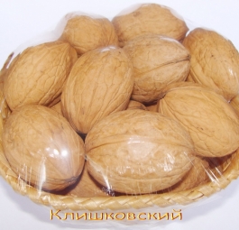 Грецкий орех «Клишкивский»